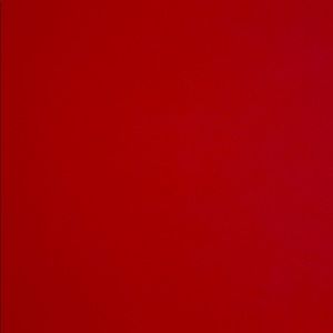 Meet your Posher, Ginger